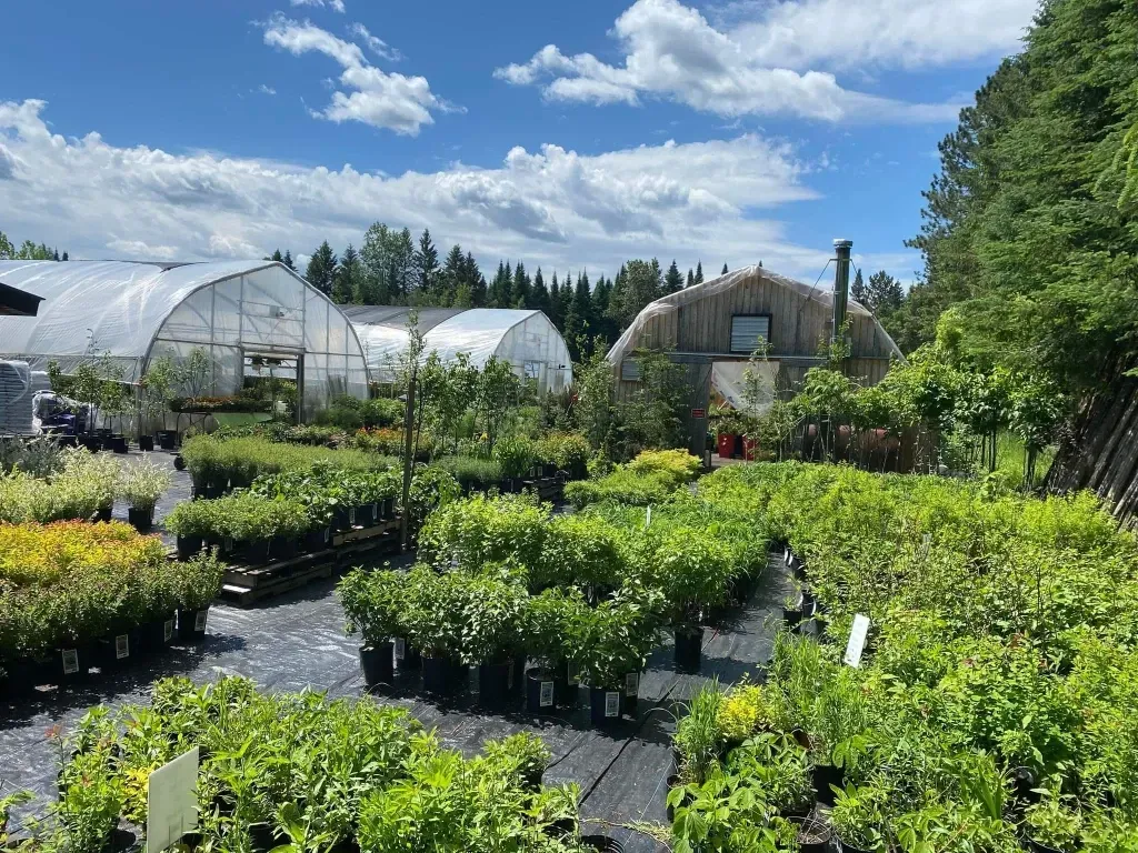 Vue extérieure des serres du Centre fleurs et jardins par une journée d'été
